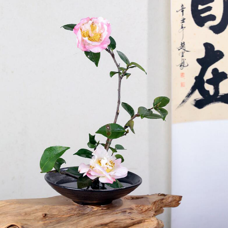 日本のモロッコのカエルの花瓶セラミック製のブーケの花の配置ボ - Ikebana Vase Kenzan のレビューと価格